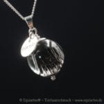 Tierhaarschmuck Anhänger Friends - Silber