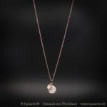 Tierhaarschmuck Anhänger mit Pferdekopf – rosévergoldet – Galaxy Pegasus